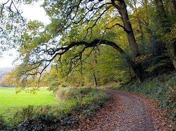 Bridge House Hotel Gunnislake Buitenkant foto